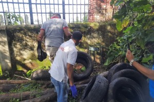 photo_dengue.jpeg