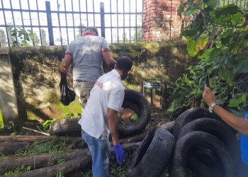 photo_dengue.jpeg